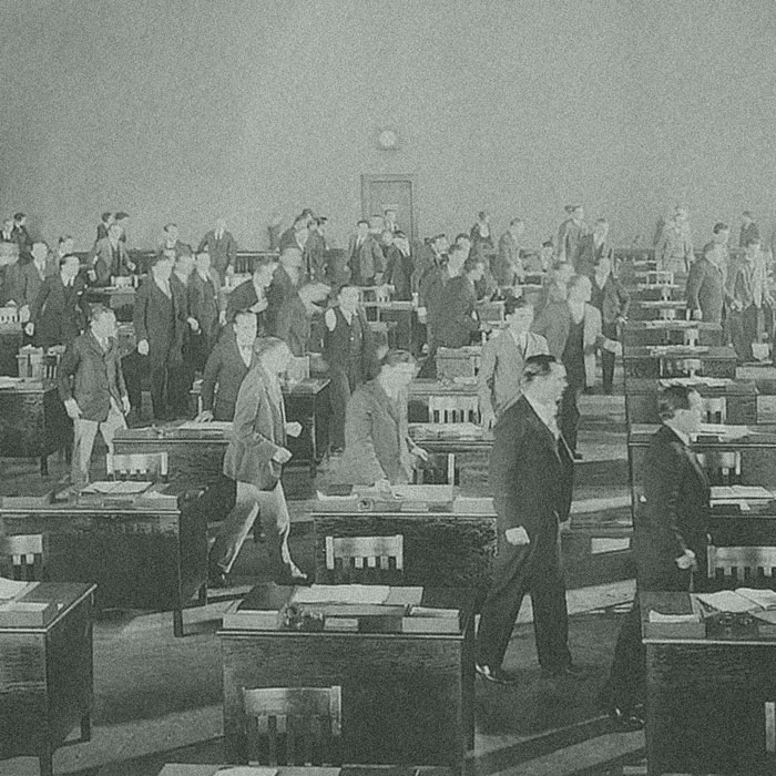 The Crowd