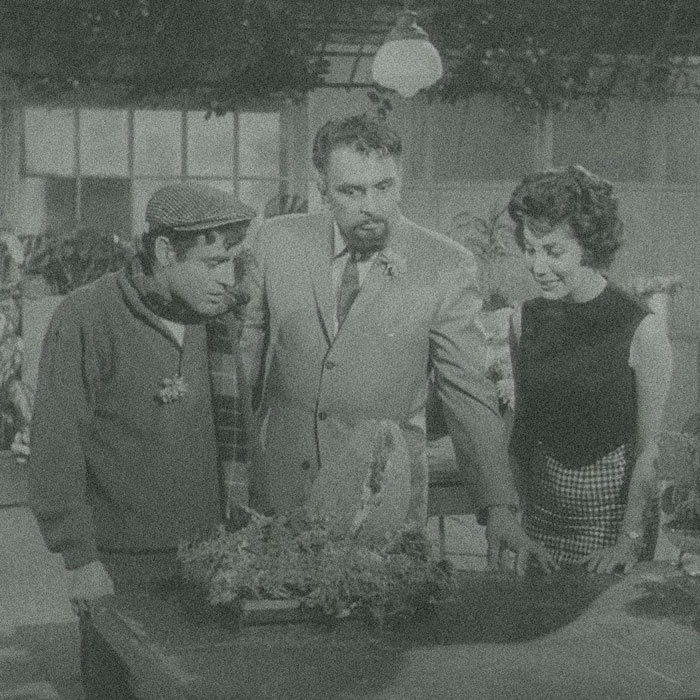 The Little Shop of Horrors