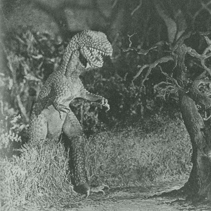 The Lost World